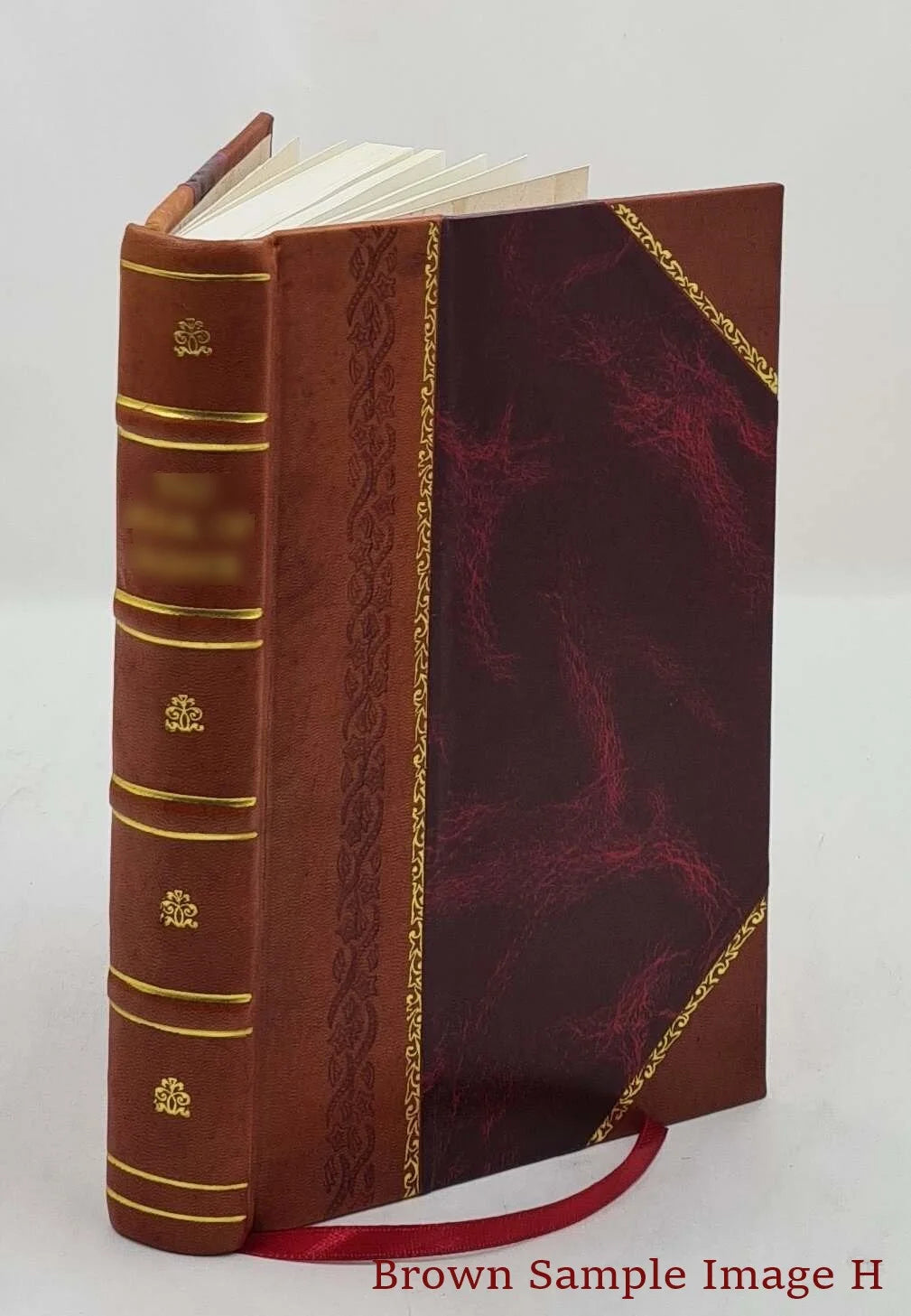 The Australian Agricultural Company, 1824-1875. 1907 [Leather Bound]